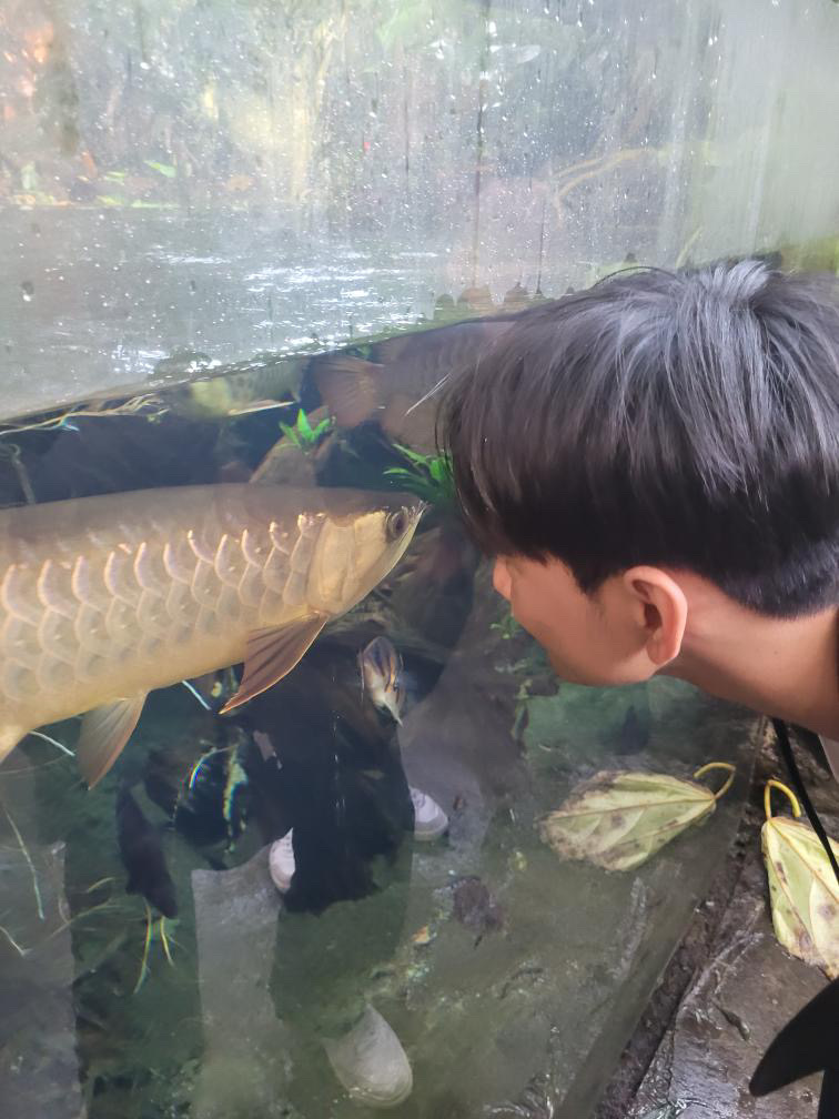 Fish