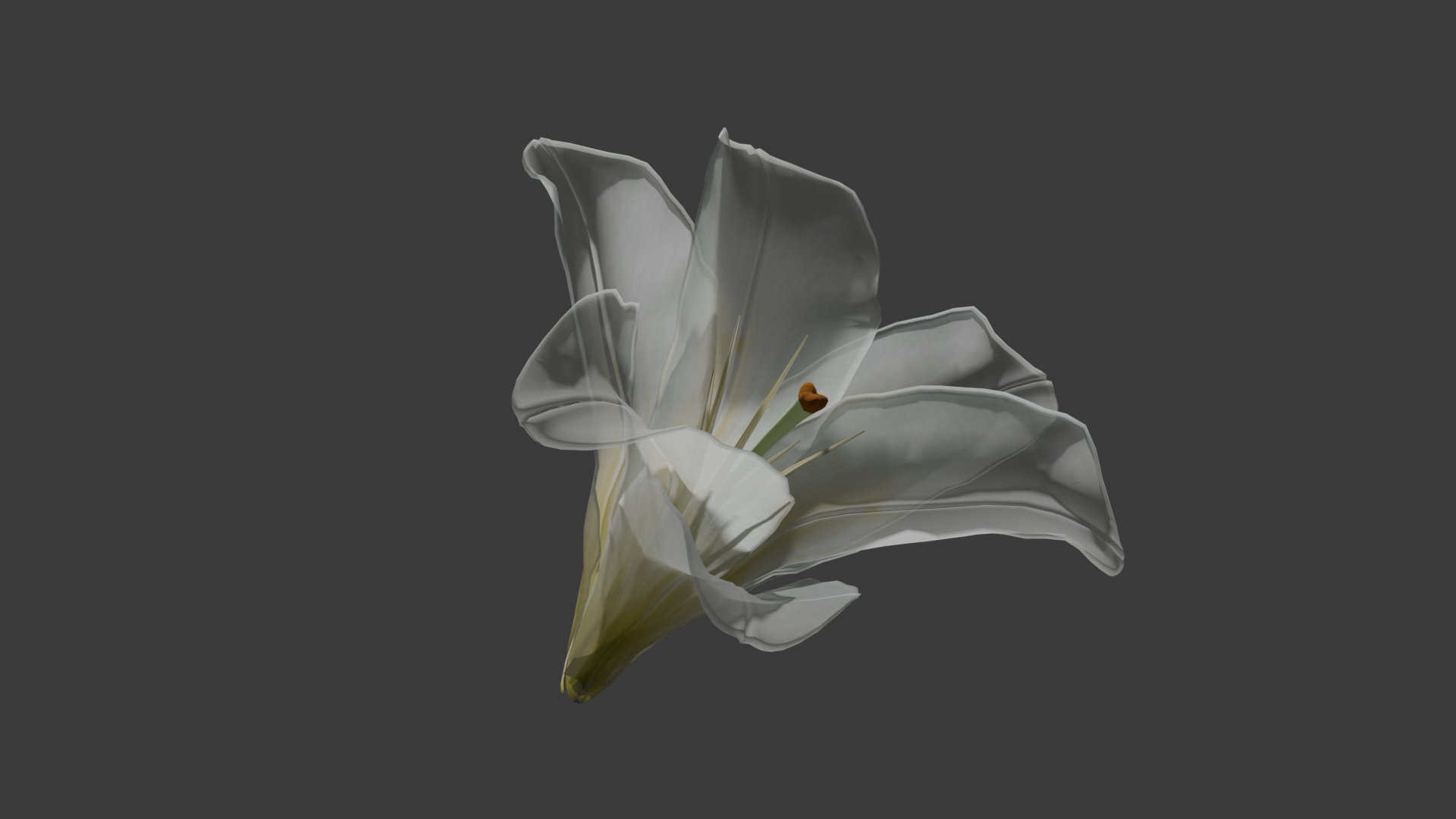 Lily render