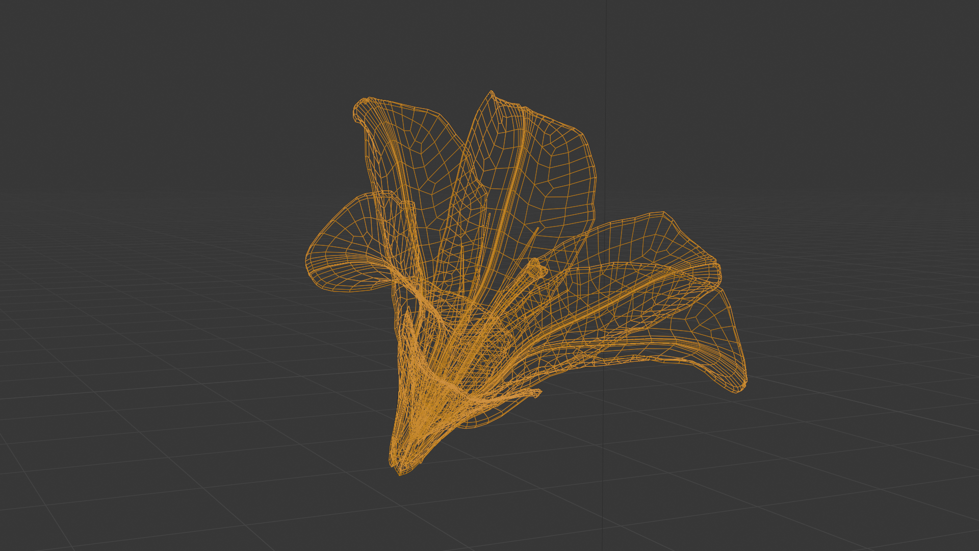 Lily wireframe model