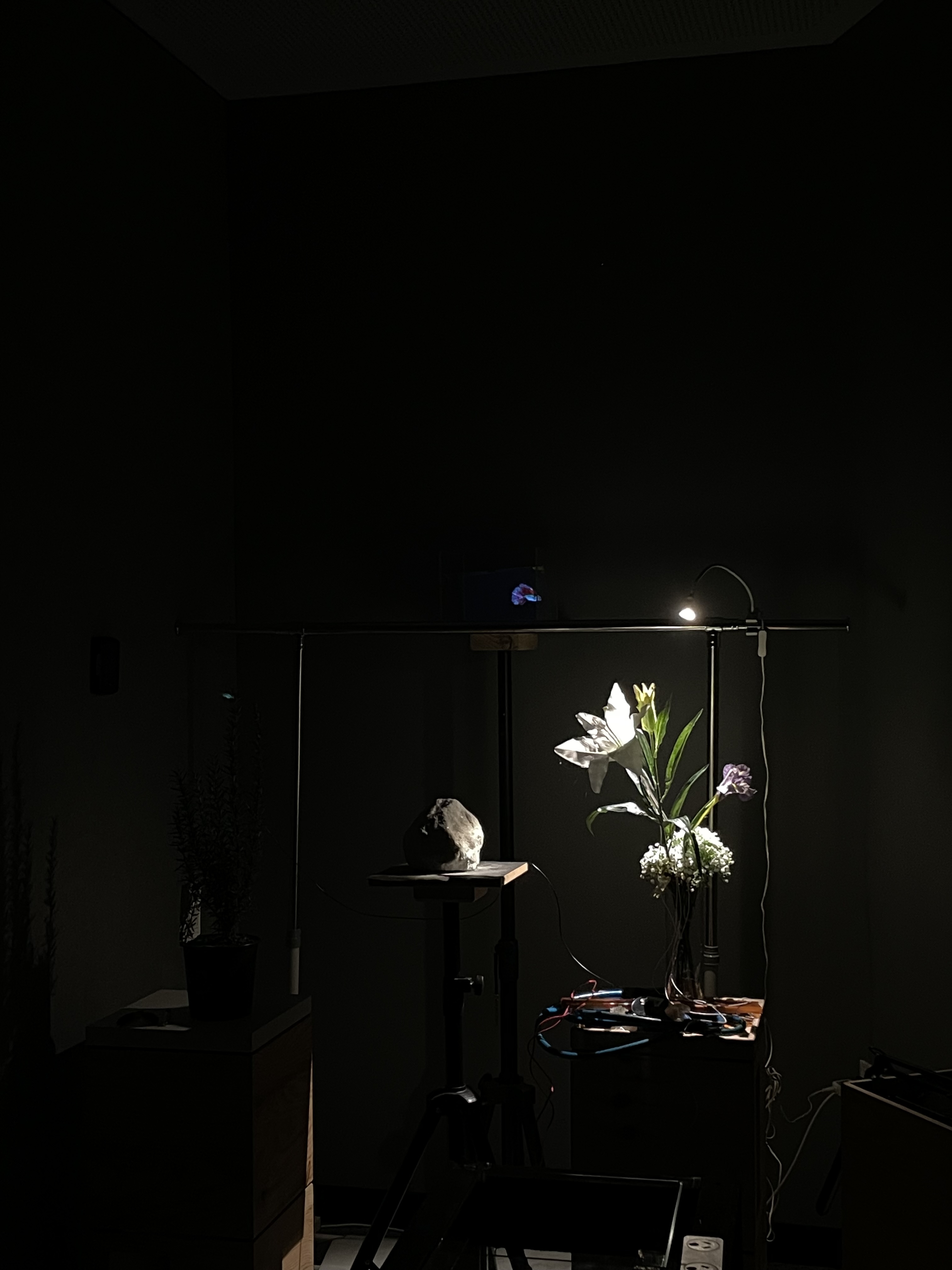 Installation setup